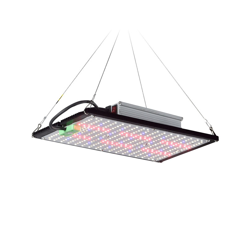 Plant Grow Light Full Spectrum - Lampada LED Quantum-Board per la Crescita