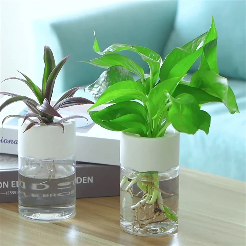 Hydroponic Grow Pod - Mini Vaso Idroponico Trasparente per Fiori,