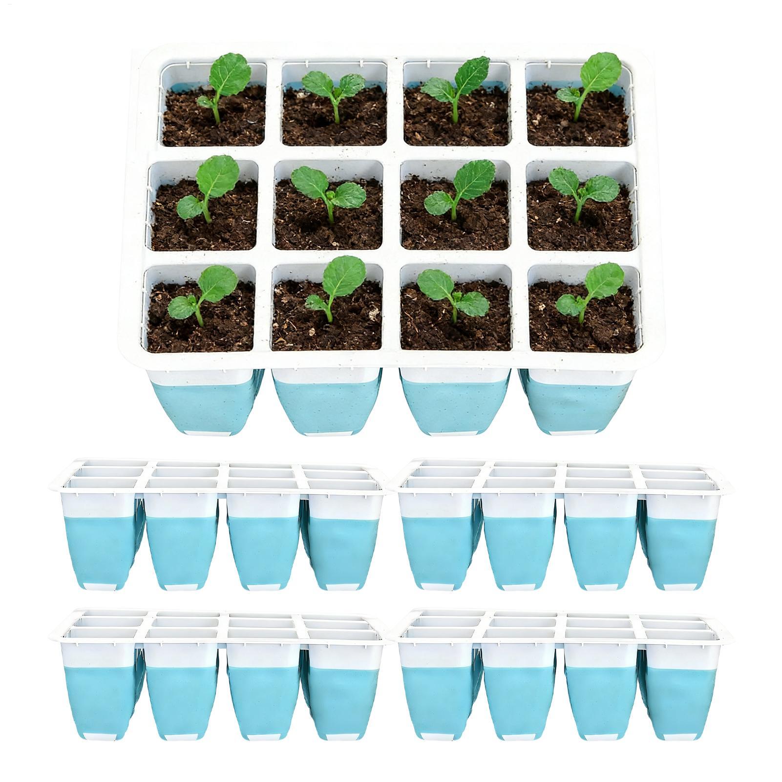 Indoor Garden Kit - Set di 5 Vassoi in Silicone