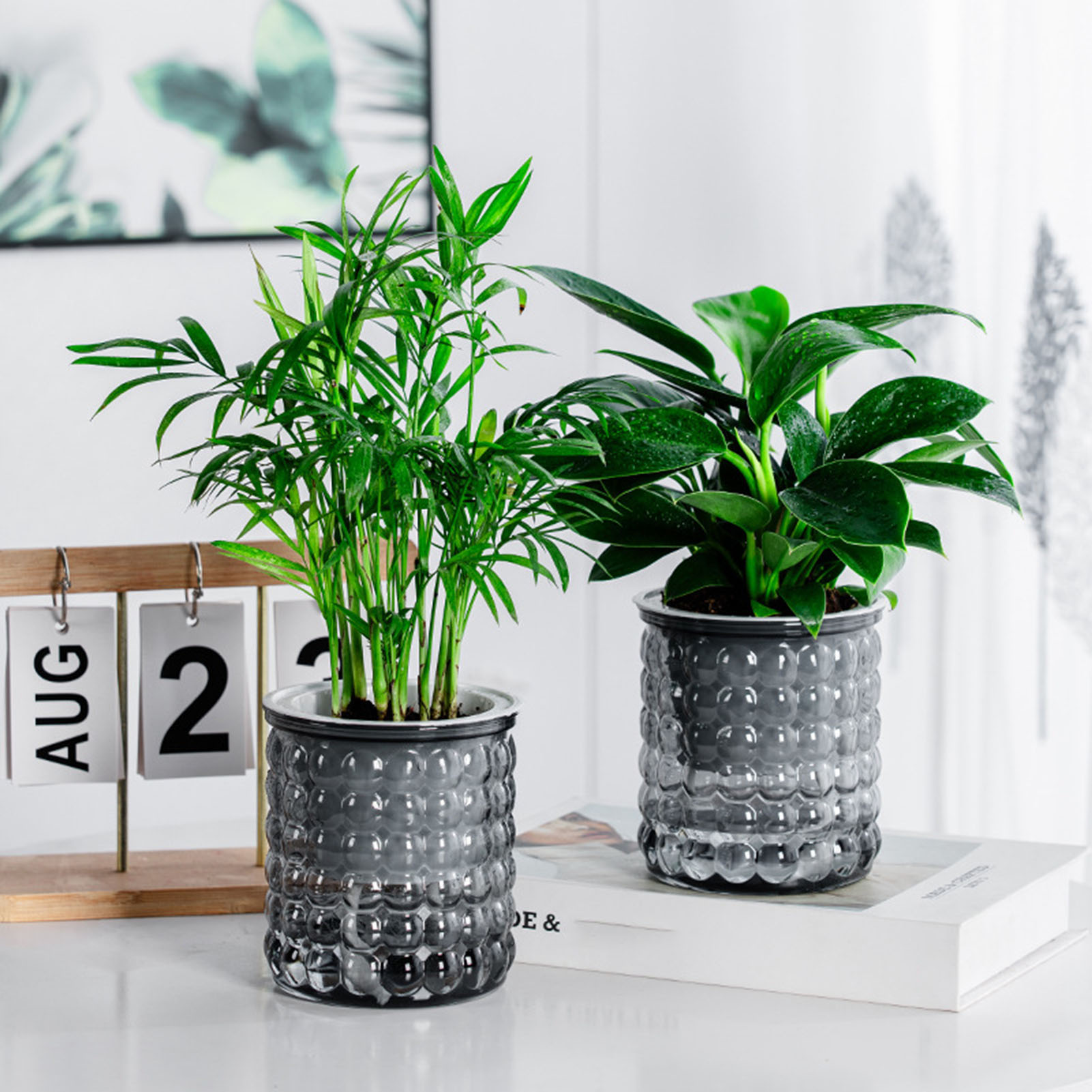 Hydroponic Grow Pod - Nuovo vaso per piante idroponiche con