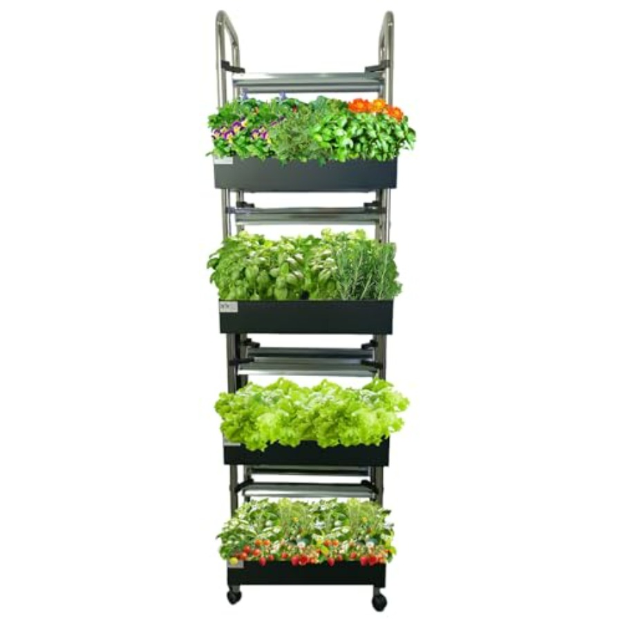 Smart Garden System - Sistema di coltivazione idroponica indoor: giardino