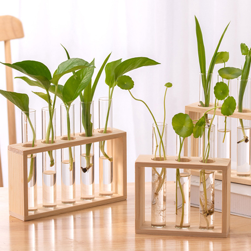 Hydroponic Grow Pod - Contenitore per piante idroponiche con struttura