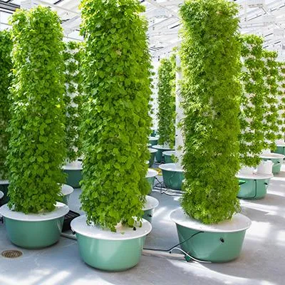 Sistemi di Coltivazione Aeropo - Hydroponic Tower recensione e prezzo