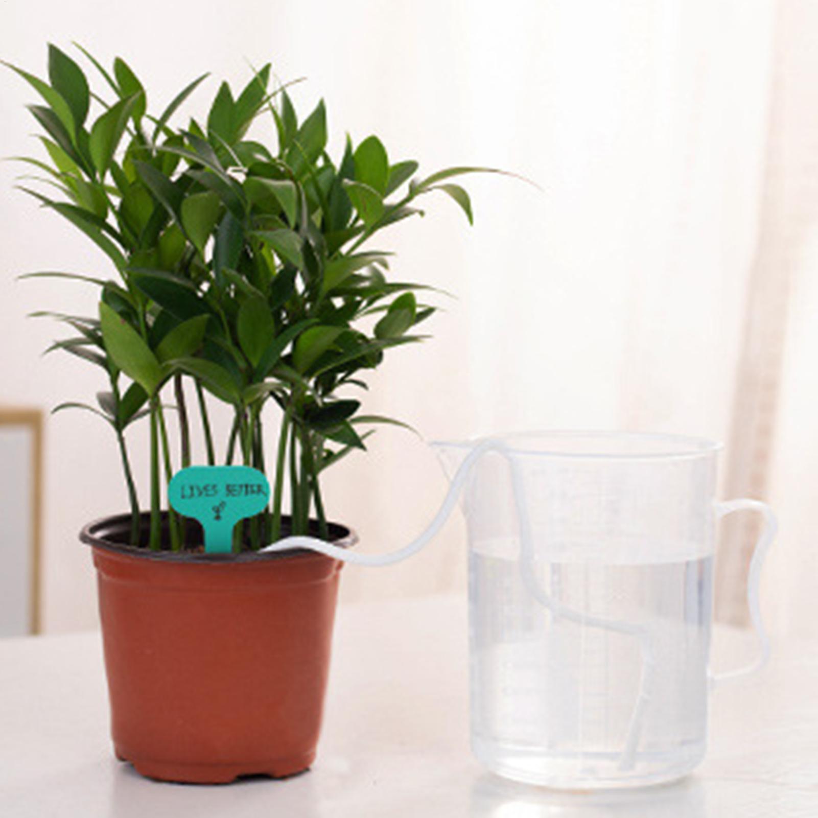 Corda per irrigazione automati - Self Watering Planter recensione e prezzo