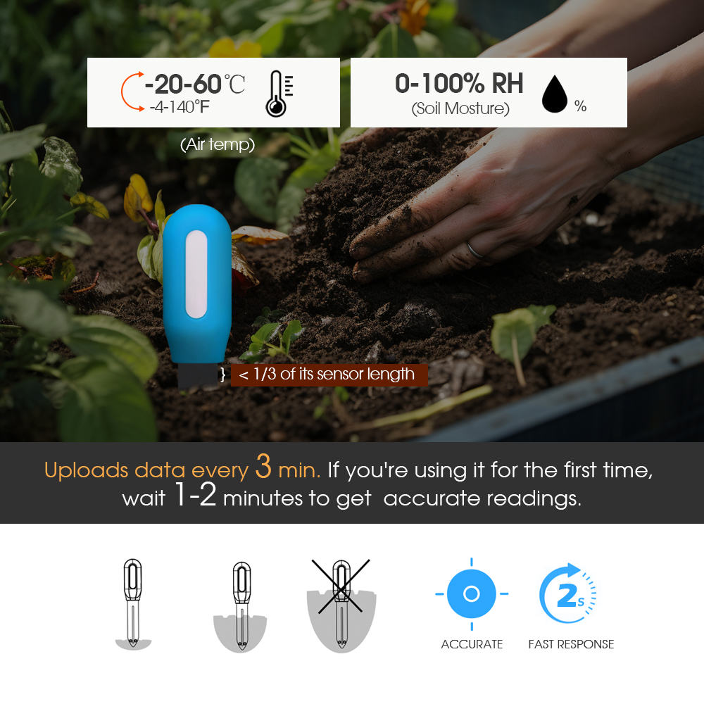 Sensore intelligente del terre - Plant Sensor recensione e prezzo