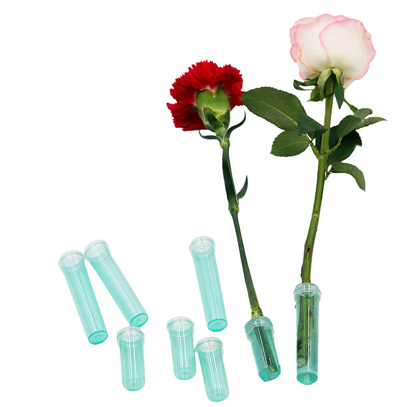 Tubo di nutrizione di fiori fr - Hydroponic Grow Pod recensione e prezzo