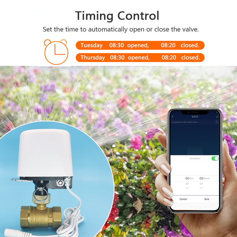 Valvola dell'Acqua WiFi Tuya Z - Smart Garden Kit recensione e prezzo