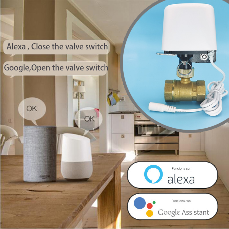 Valvola dell'Acqua WiFi Tuya Z - Smart Garden Kit recensione e prezzo