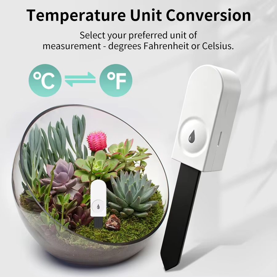 Tester del Suolo Zigbee Multif - Plant Monitor recensione e prezzo