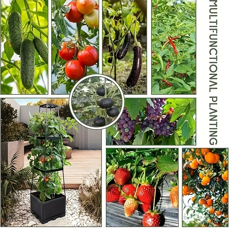 Torre per pomodori con sistema - Hydroponic Tower recensione e prezzo