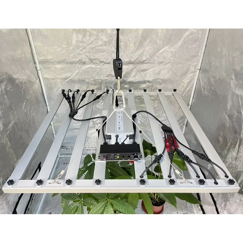 Driver per Lampada da Coltivaz - Grow Light Led recensione e prezzo