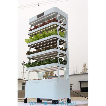 arming Home Sistemi di coltiva - Smart Garden System recensione e prezzo