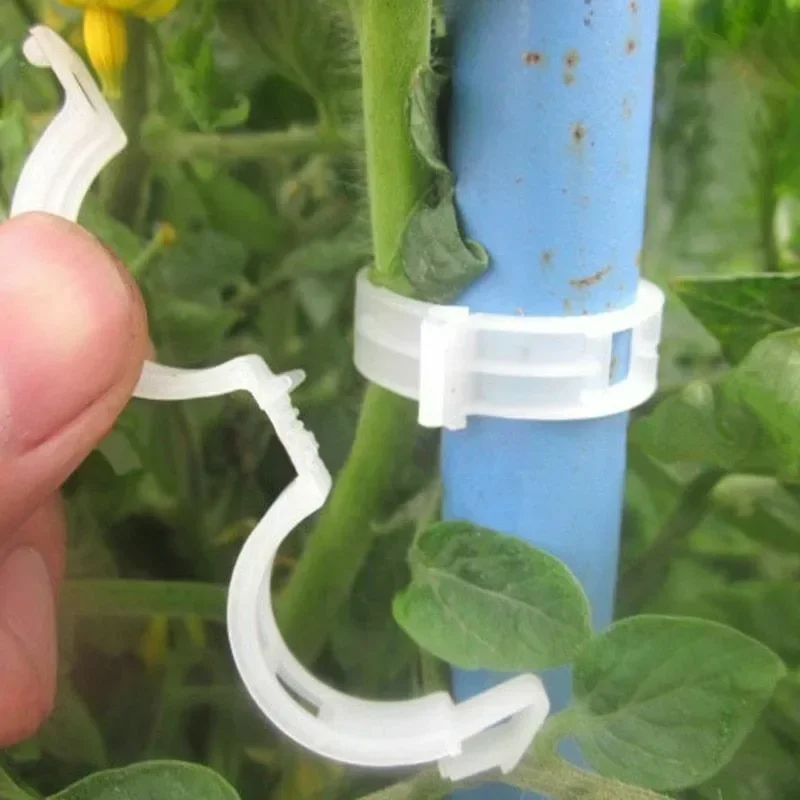 Clip di Supporto per Piante Ri - Smart Garden Kit recensione e prezzo