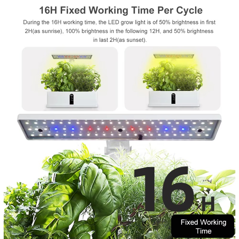 Sistema di Coltivazione Idropo - Smart Garden Kit recensione e prezzo