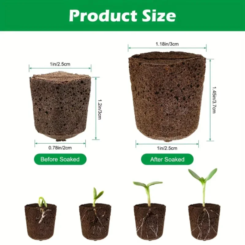 Kit di Spugne per Germinazione - Indoor Garden Kit recensione e prezzo