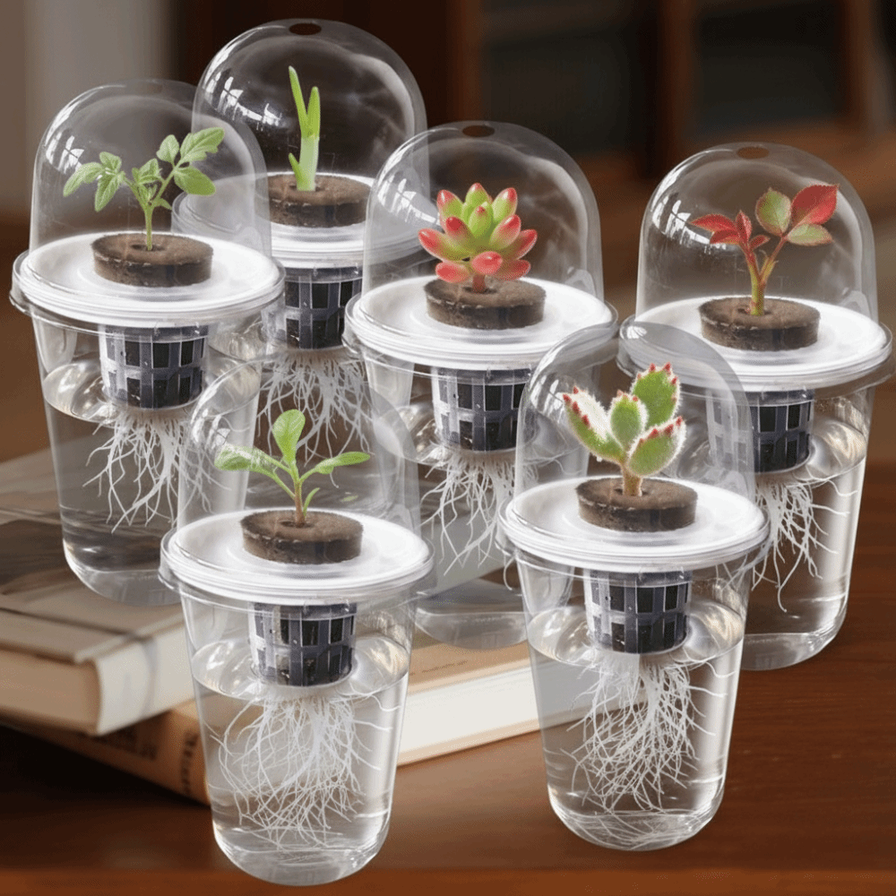 1-5 Pezzi Vasi Trasparenti per - Hydroponic Grow Pod recensione e prezzo