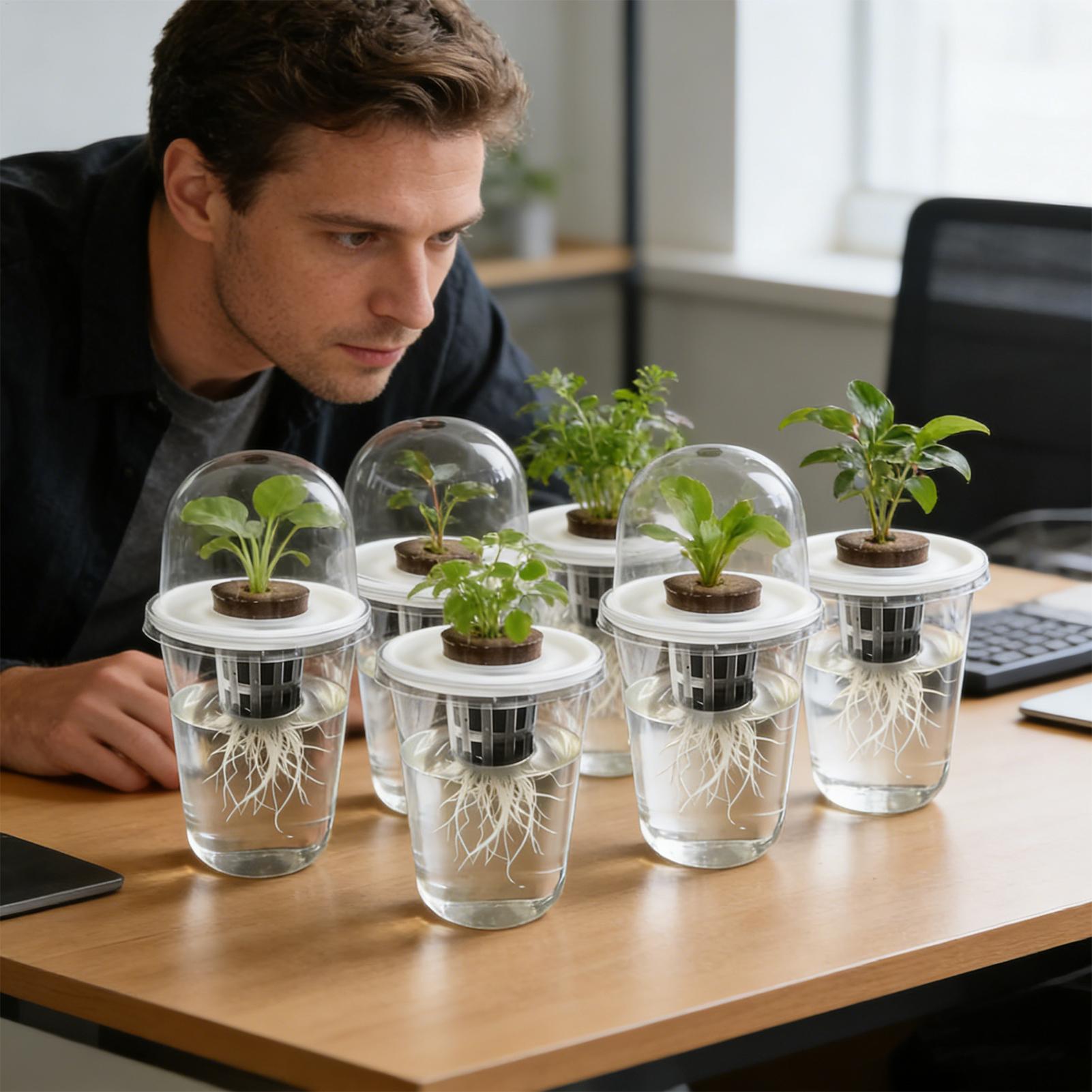 1-5 Pezzi Vasi Trasparenti per - Hydroponic Grow Pod recensione e prezzo