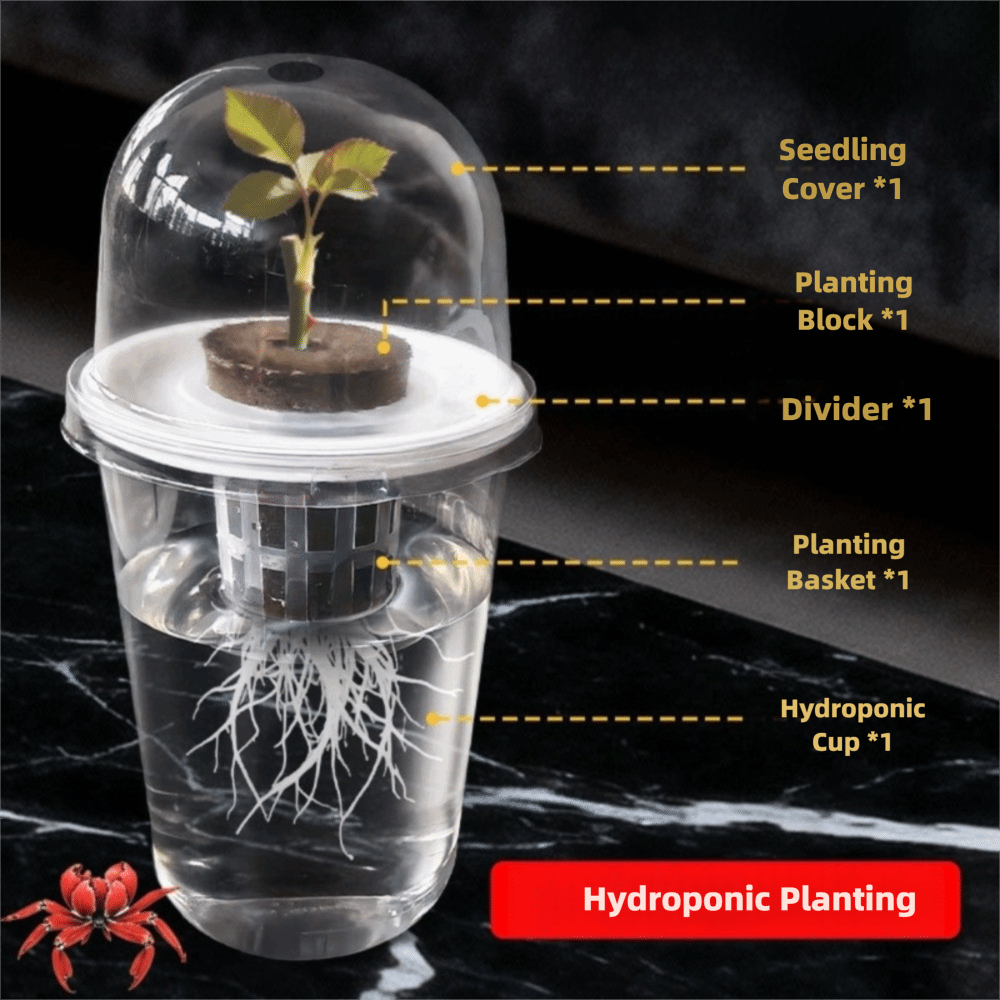 1-5 Pezzi Vasi Trasparenti per - Hydroponic Grow Pod recensione e prezzo