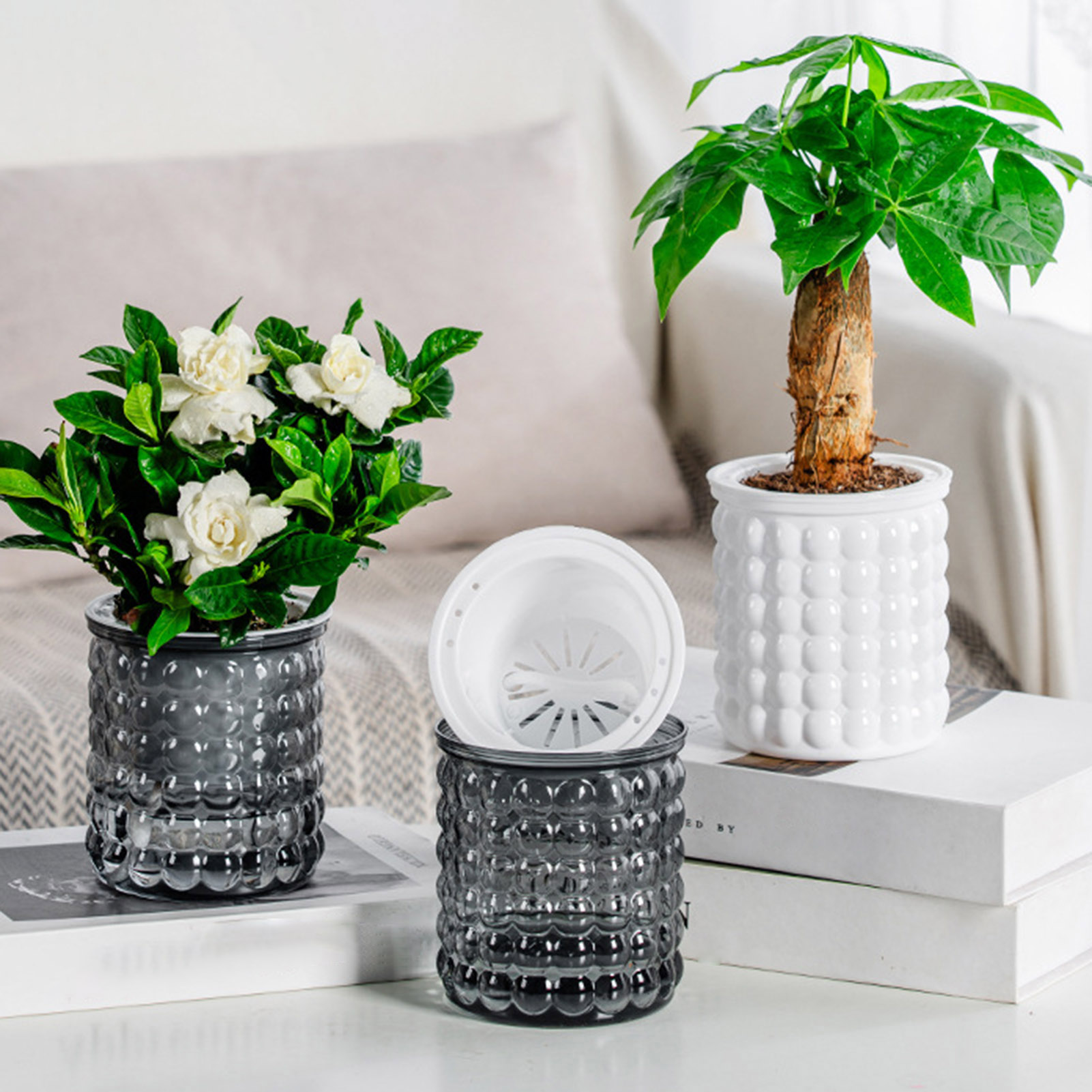 Nuovo vaso per piante idroponi - Hydroponic Grow Pod recensione e prezzo