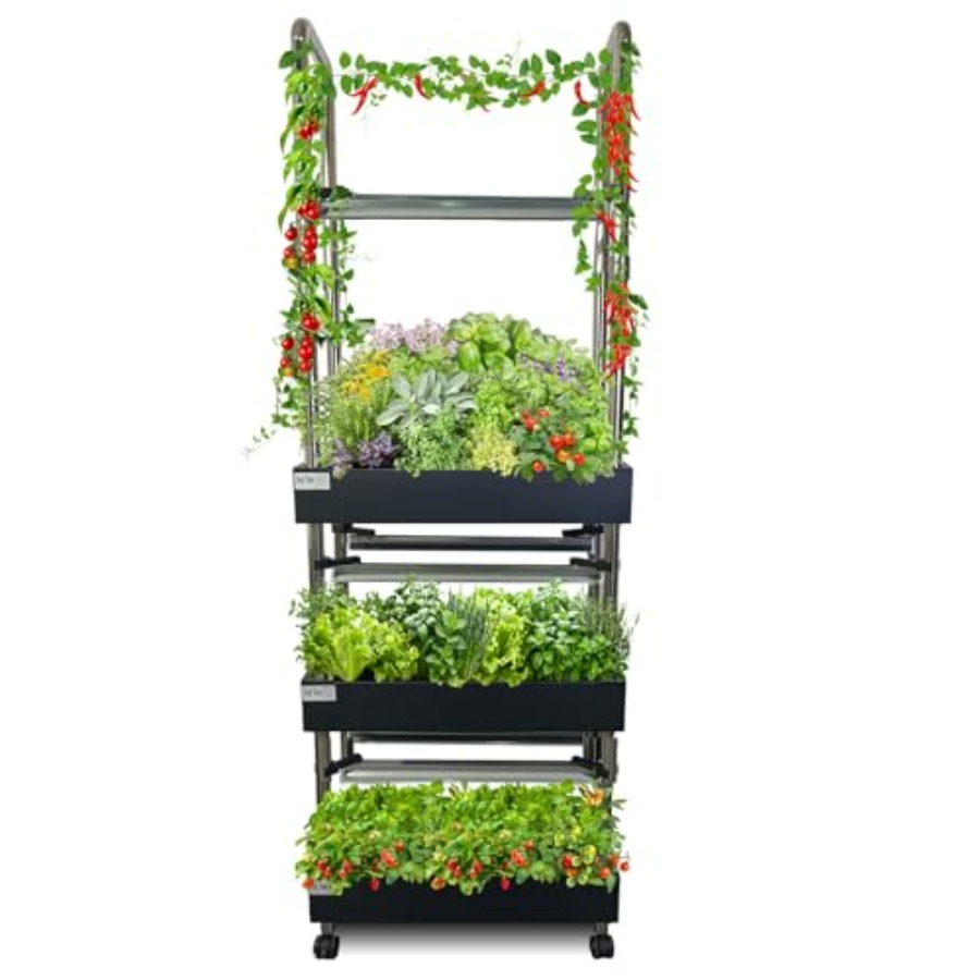 Sistema di coltivazione idropo - Smart Garden System recensione e prezzo