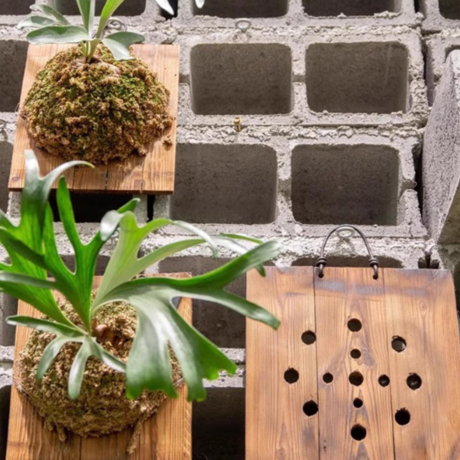 Kit Fioriera da Parete in Legn - Indoor Garden Kit recensione e prezzo