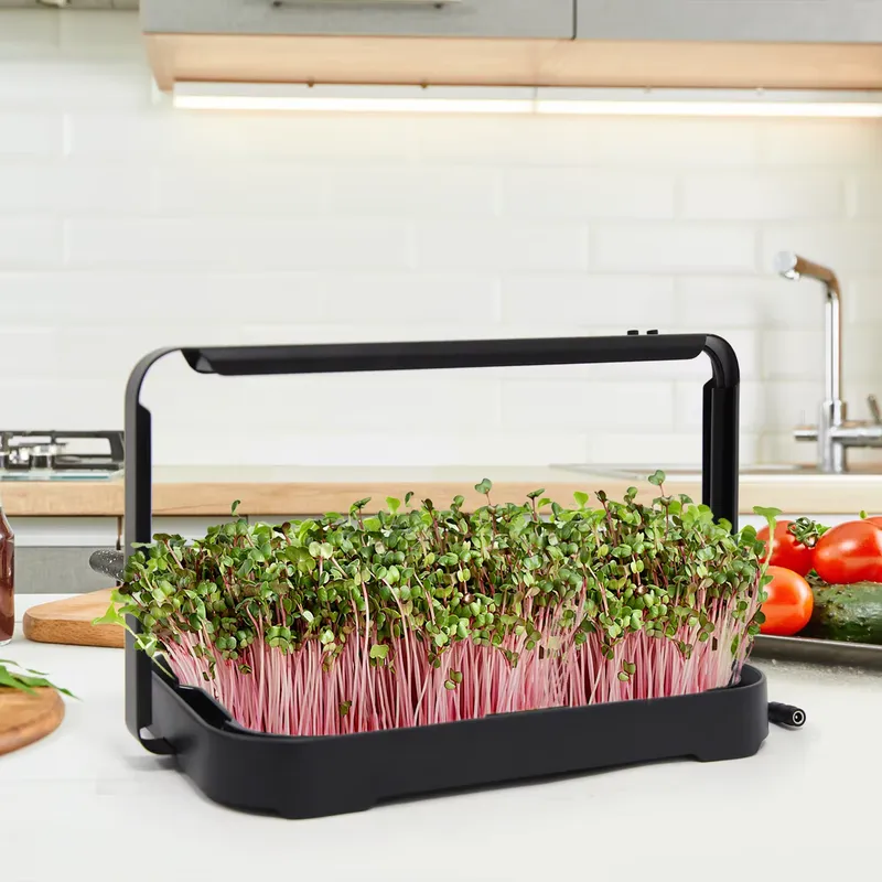 Vassoio Idroponico per Microgr - Smart Garden Kit recensione e prezzo