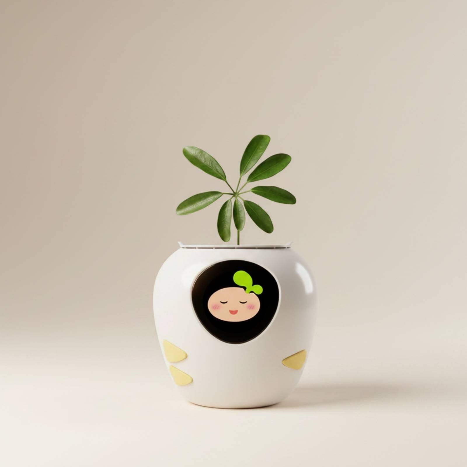Vaso Interattivo con Funzione  - Automatic Watering recensione e prezzo