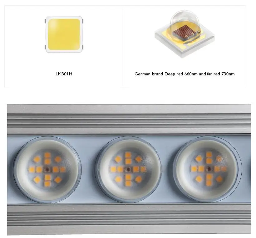 Luce LED per Piante Koray 900W - Plant Grow Light Full Spectrum recensione e prezzo